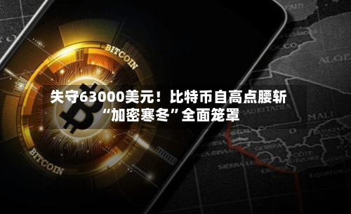 失守63000美元！比特币自高点腰斩 “加密寒冬”全面笼罩-第3张图片