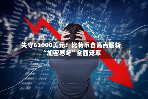 失守63000美元！比特币自高点腰斩 “加密寒冬	”全面笼罩-第2张图片