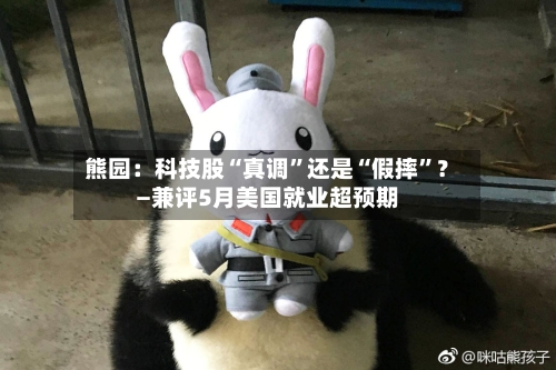 熊园：科技股“真调	”还是“假摔”？—兼评5月美国就业超预期-第2张图片