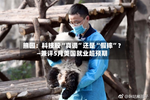 熊园：科技股“真调”还是“假摔	”？—兼评5月美国就业超预期-第3张图片