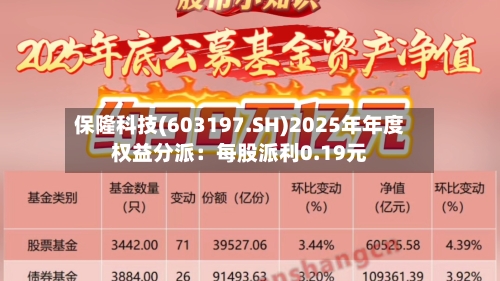 保隆科技(603197.SH)2025年年度权益分派：每股派利0.19元-第2张图片