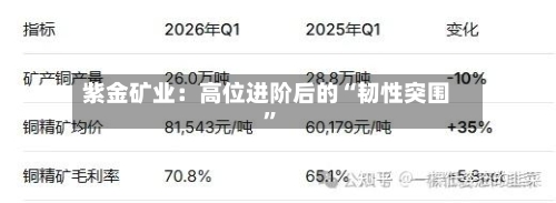 紫金矿业：高位进阶后的“韧性突围	”-第2张图片