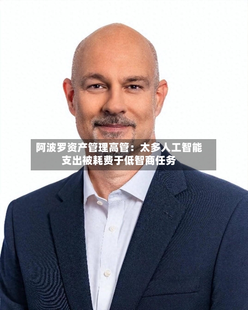 阿波罗资产管理高管：太多人工智能支出被耗费于低智商任务-第2张图片