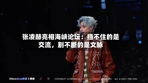 张凌赫亮相海峡论坛：挡不住的是交流，割不断的是文脉