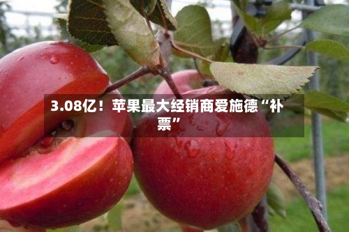 3.08亿！苹果最大经销商爱施德“补票	”-第2张图片