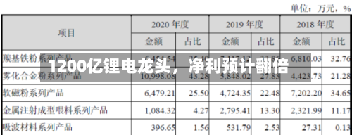 1200亿锂电龙头	，净利预计翻倍-第3张图片