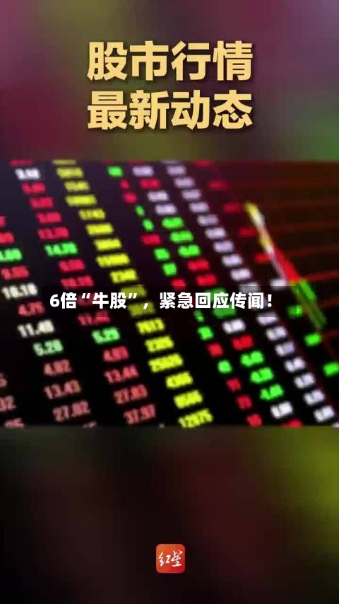 6倍“牛股”，紧急回应传闻！