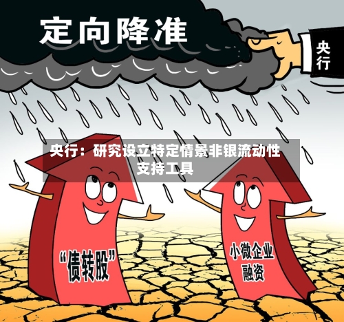 央行:研究设立特定情景非银流动性支持工具-第2张图片