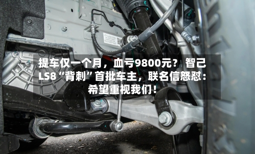 提车仅一个月	，血亏9800元？ 智己LS8“背刺	”首批车主，联名信怒怼：希望重视我们！-第2张图片