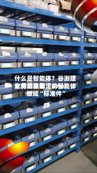 什么是智能体？谷澍建议将功能单〖One〗	、业务流程固定的智能体做成“标准件”-第3张图片