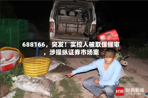 688166，突发！实控人被取保候审	，涉操纵证券市场案-第3张图片