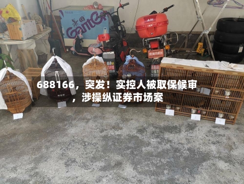 688166，突发！实控人被取保候审，涉操纵证券市场案-第2张图片