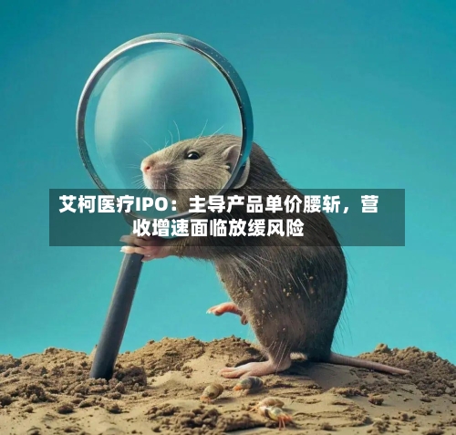 艾柯医疗IPO：主导产品单价腰斩	，营收增速面临放缓风险-第2张图片