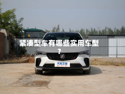 紧凑型车有哪些实用车型？-第2张图片