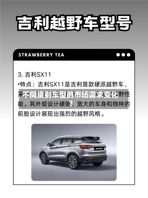 不同级别车型的市场需求变化？