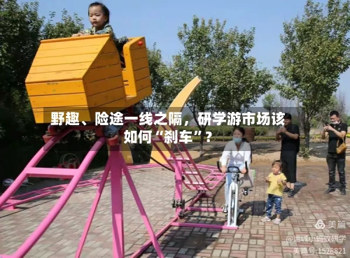 野趣、险途一线之隔，研学游市场该如何“刹车”？-第2张图片