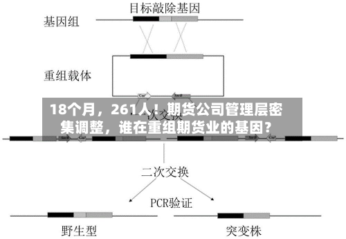 18个月，261人！期货公司管理层密集调整	，谁在重组期货业的基因？-第2张图片
