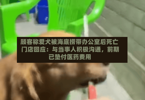 顾客称爱犬被海底捞带办公室后死亡 门店回应：与当事人积极沟通	，前期已垫付医药费用-第3张图片