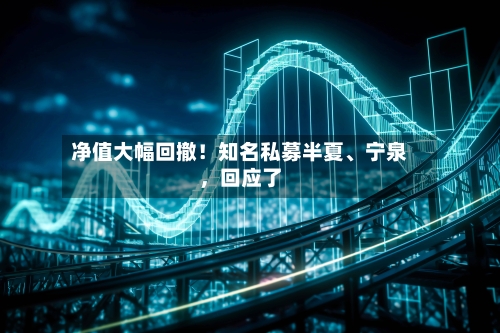 净值大幅回撤！知名私募半夏	、宁泉	，回应了-第2张图片