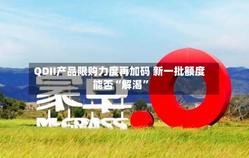 QDII产品限购力度再加码 新一批额度能否“解渴”-第3张图片