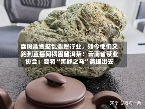 卖假翡翠搞乱翡翠行业，如今他们又跑到直播间祸害普洱茶！云南省茶业协会：要将“害群之马”清理出去-第2张图片