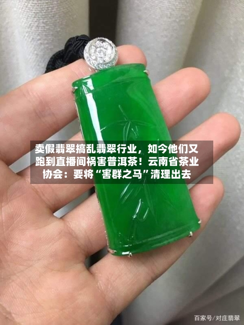 卖假翡翠搞乱翡翠行业，如今他们又跑到直播间祸害普洱茶！云南省茶业协会：要将“害群之马”清理出去-第3张图片