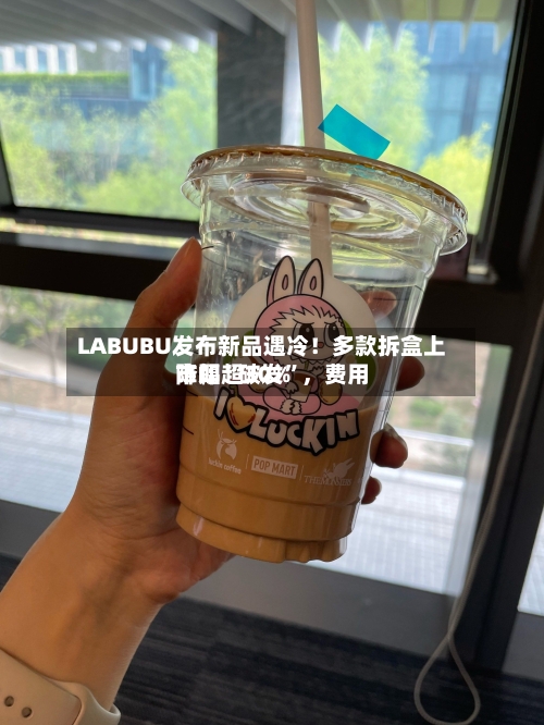 LABUBU发布新品遇冷！多款拆盒上市即“破发”	，费用降幅超30%-第2张图片