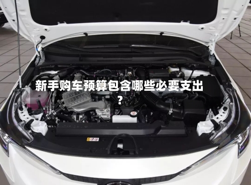 新手购车预算包含哪些必要支出？-第3张图片