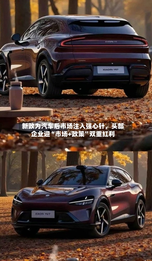 新政为汽车后市场注入强心针	，头部企业迎“市场+政策”双重红利-第2张图片