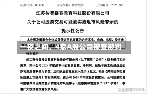 一夜之间，4家A股公司被查被罚-第3张图片