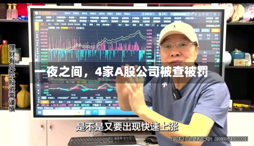 一夜之间	，4家A股公司被查被罚-第2张图片
