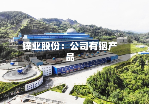 锌业股份：公司有铟产品