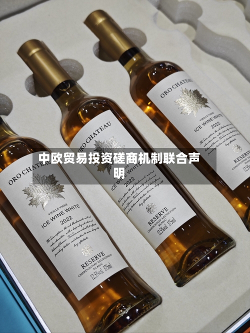 中欧贸易投资磋商机制联合声明-第2张图片