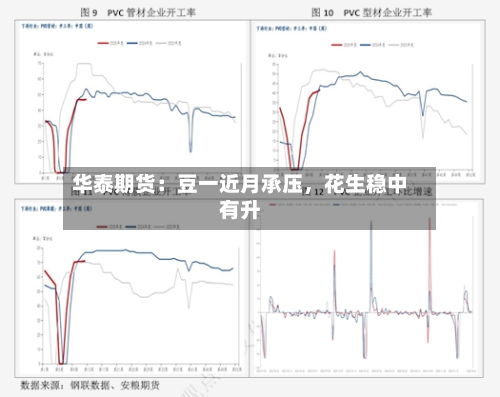 华泰期货：豆一近月承压，花生稳中有升-第2张图片