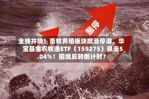 全线井喷！畜牧养殖板块掀涨停潮，华宝基金农牧渔ETF（159275）暴涨5.04%！困境反转倒计时？-第3张图片