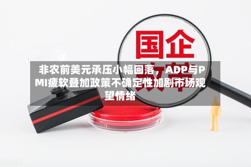 非农前美元承压小幅回落，ADP与PMI疲软叠加政策不确定性加剧市场观望情绪-第2张图片