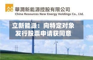 立新能源：向特定对象发行股票申请获同意