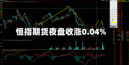 恒指期货夜盘收涨0.04%-第2张图片