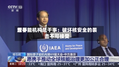 世界原子能机构总干事：破坏核安全的袭击不可接受-第2张图片