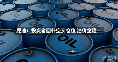 原油：投资者回补空头仓位 油价企稳
