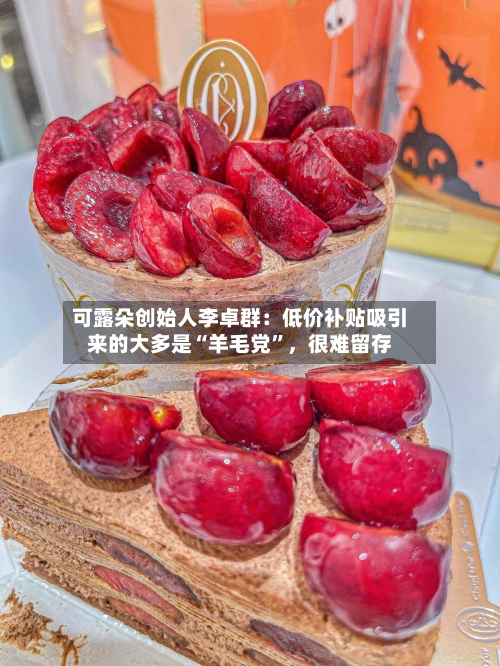 可露朵创始人李卓群:低价补贴吸引来的大多是“羊毛党”,很难留存