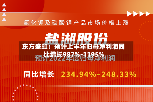 东方盛虹:预计上半年归母净利润同比增长987%-1195%
