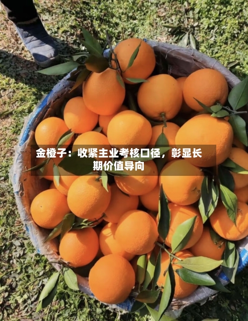 金橙子：收紧主业考核口径，彰显长期价值导向-第3张图片