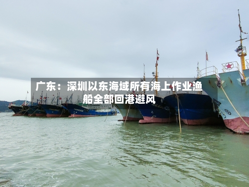广东:深圳以东海域所有海上作业渔船全部回港避风