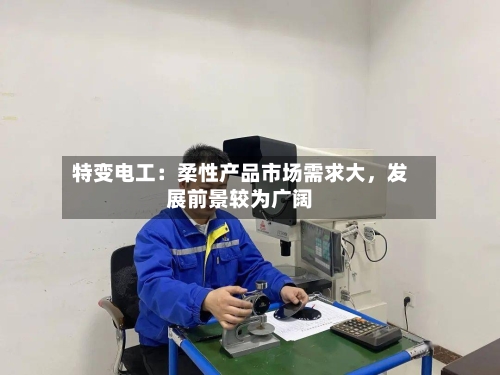 特变电工:柔性产品市场需求大,发展前景较为广阔