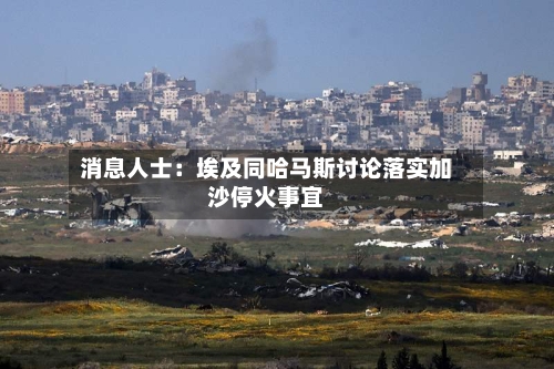 消息人士：埃及同哈马斯讨论落实加沙停火事宜