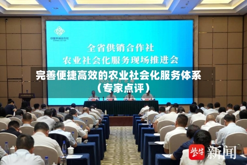 完善便捷高效的农业社会化服务体系（专家点评）-第3张图片